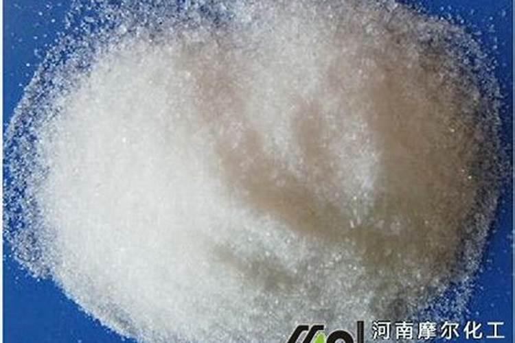 荷兰豆种植
