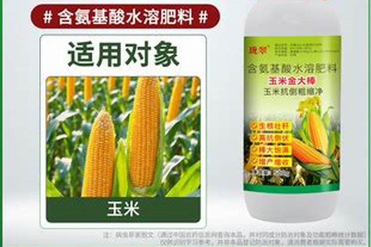 玉米防倒伏叶面喷施最佳时期