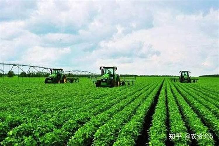 大豆初期叶面肥掺多少尿素合适