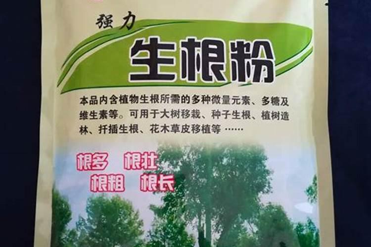 菊花施肥用什么肥料利于开花 种菊花上什么肥最好