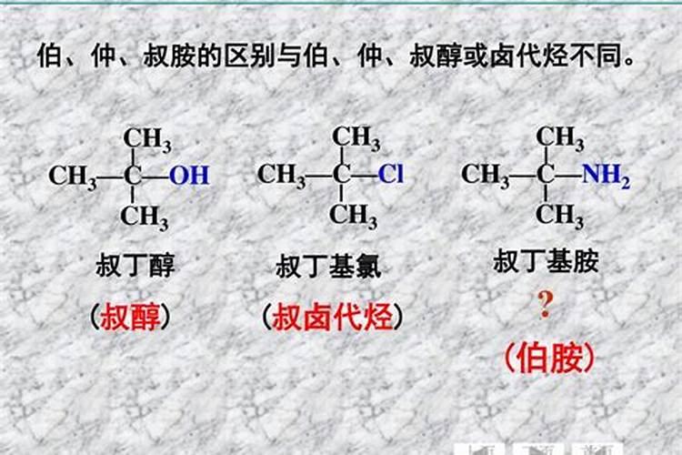 请假高手白皮松流胶病的症状和防治