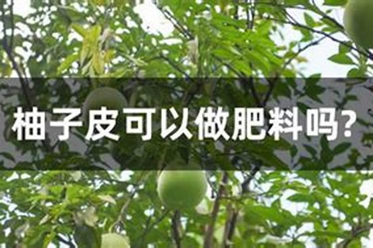 柚子树施什么肥料最好