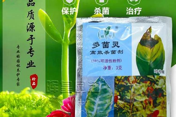 花卉多久浇一次多菌灵 “多久浇一次多菌灵最合适？”
