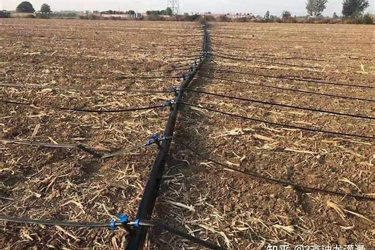 滴灌带冲肥冲几小时好？