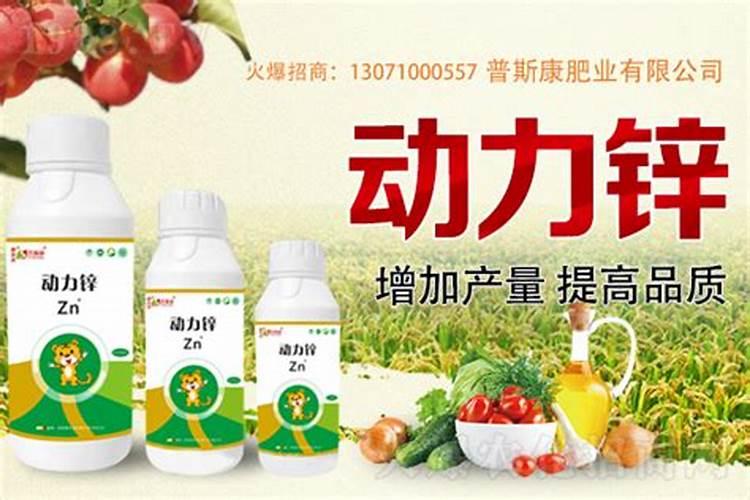 锌肥不能和什么混用叶面喷施