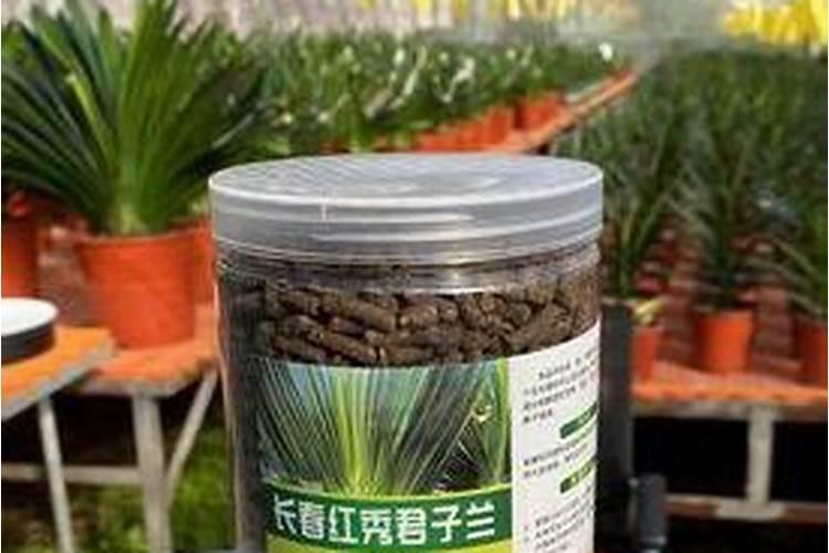 西瓜一亩地上多少底肥料