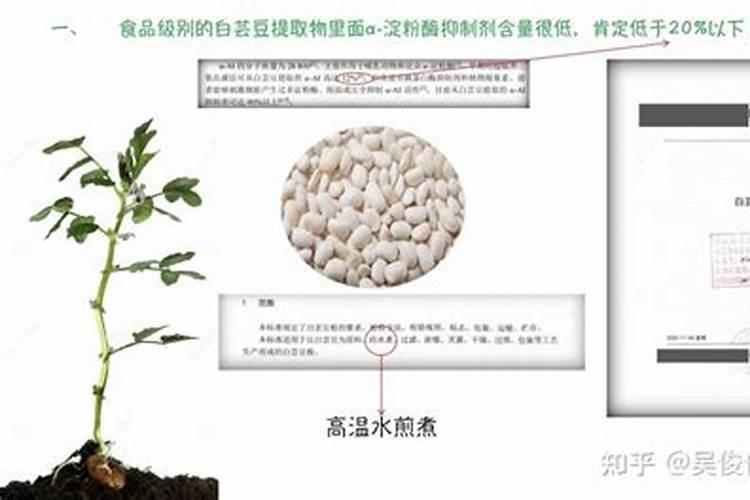 芸豆什么时候施肥