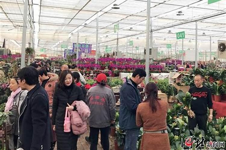 国产最好的水溶肥牌子