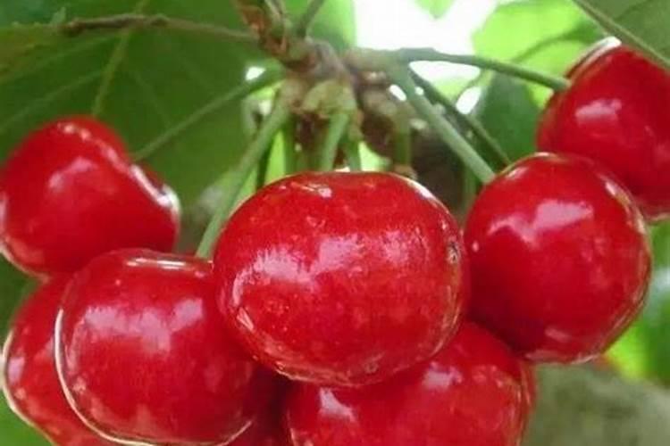 液氨是什么东西啊？它是溶液吗