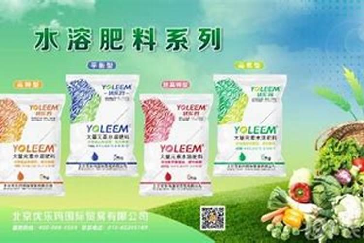 茄子亩产量一般多少斤？