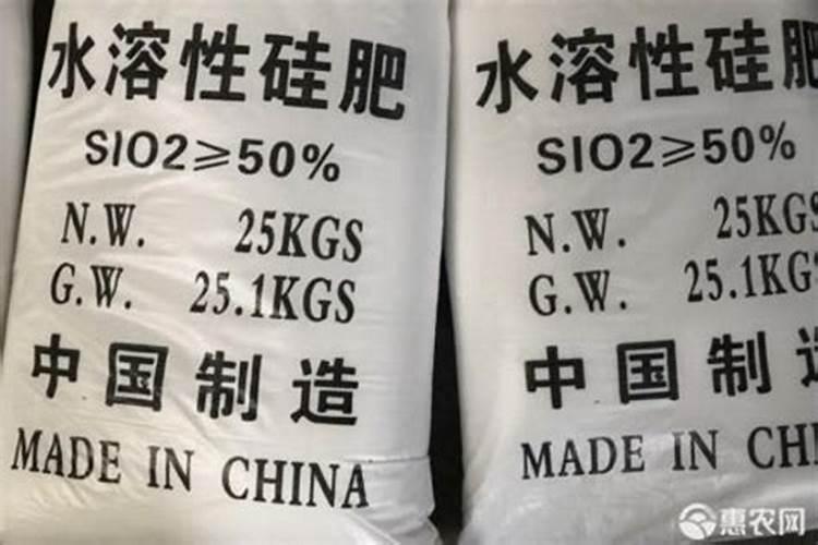 硅肥对作物的主要作用是什么？怎样科学施用？