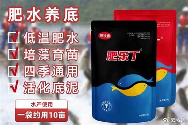 玉米使用什么叶面肥好(玉米喷施什么叶面肥效果最好)