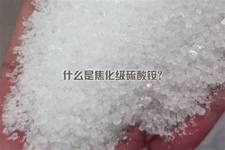玉米追肥用硫酸铵可以吗