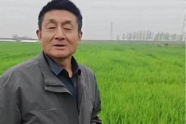 ﻿药用植物叶面追肥技巧