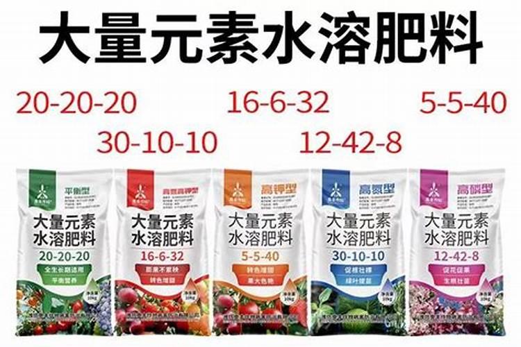 冬瓜喜欢什么肥料