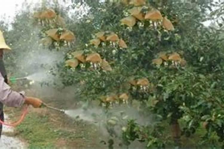 石河子化工厂有哪些