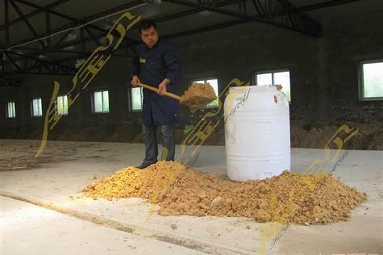 红糖加什么生根壮苗效果好