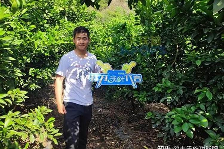 蓝莓用什么肥料