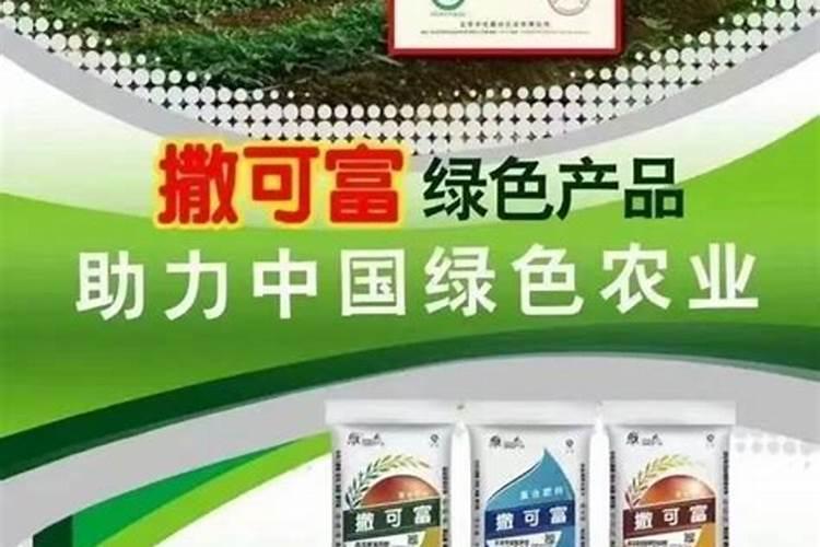 百香果苗上架后的管理