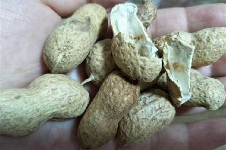 草莓各个时期的施肥方案,什么时候冲高磷肥