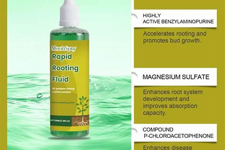 裁草莓用什一种肥料好