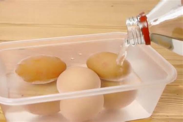 鸡蛋壳加醋和红糖有机肥;鸡蛋壳白醋红糖一起泡