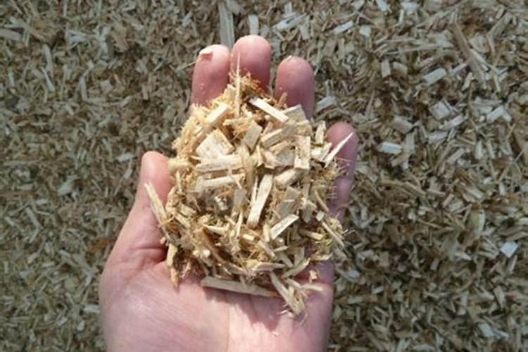 有机肥的选择和保存