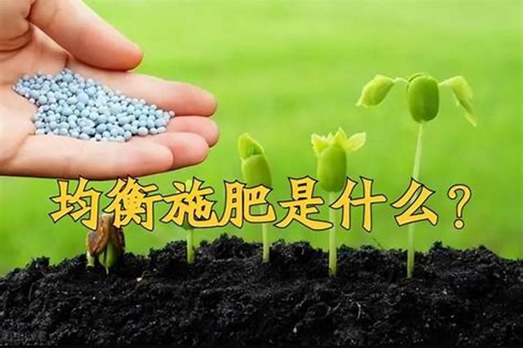 什么是平衡施肥