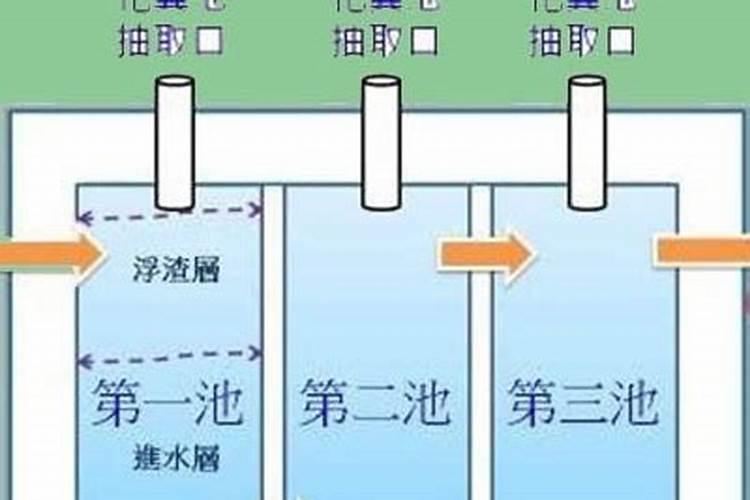 农村种植的大蒜,用粪池水可以直接浇吗？