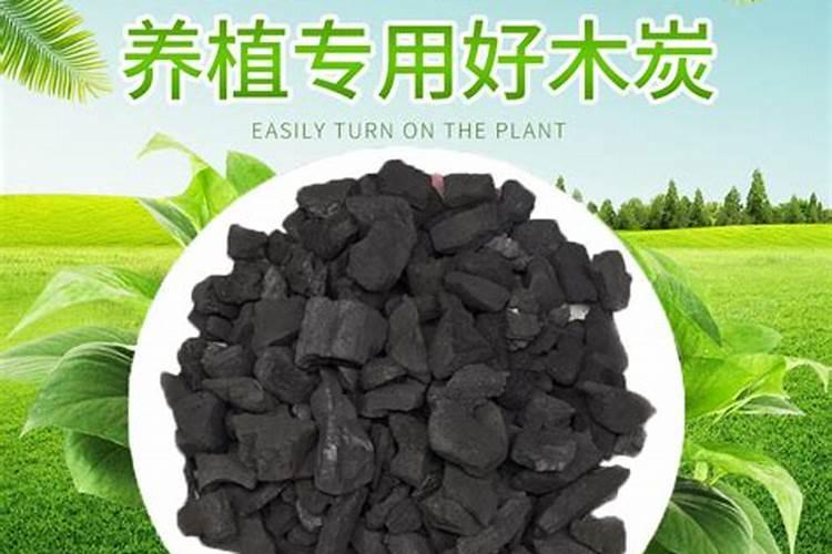 木炭灰可以做种菜肥料吗