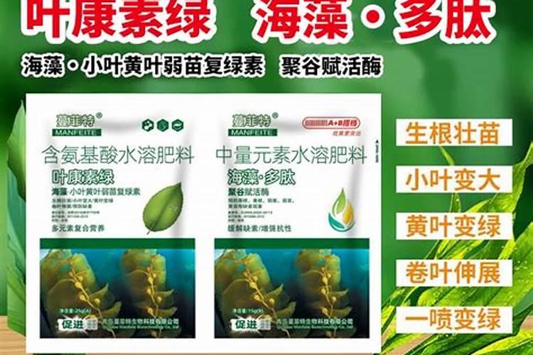 花生麸怎样沤制肥水