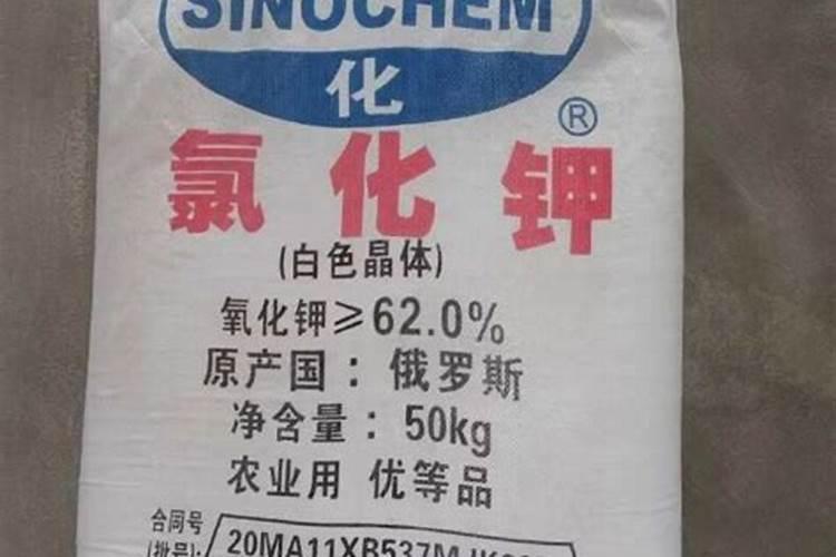 俄罗斯复合肥的最新价格