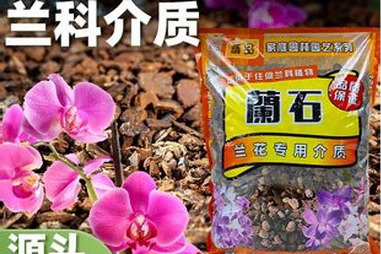 虎皮兰的施肥方法什么肥料好？