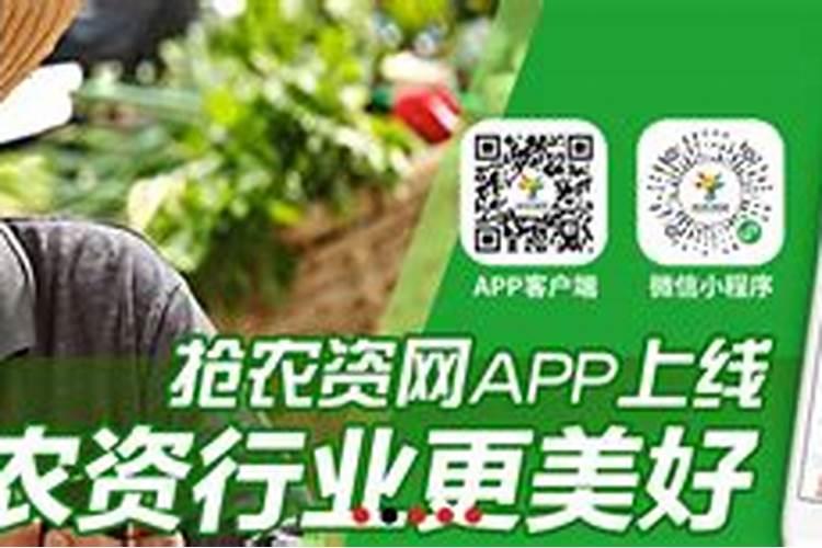 红映天叶面肥哪里买