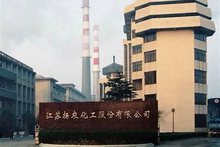 最贵的玉米叶面肥1000克的多少钱一瓶