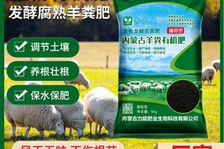 磷肥泡水可以浇花吗