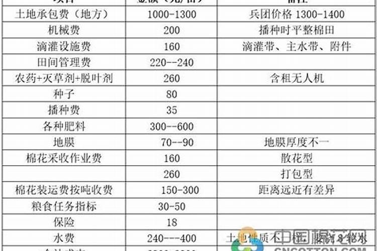 桃树膨果用什么肥料