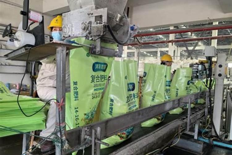 兰花的节气是什么？