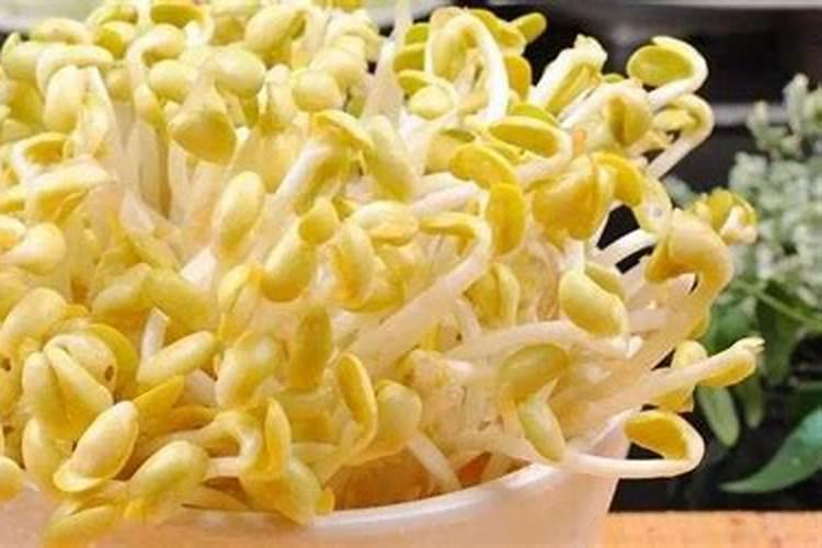 发黄豆芽烂掉黄豆能做花肥吗？