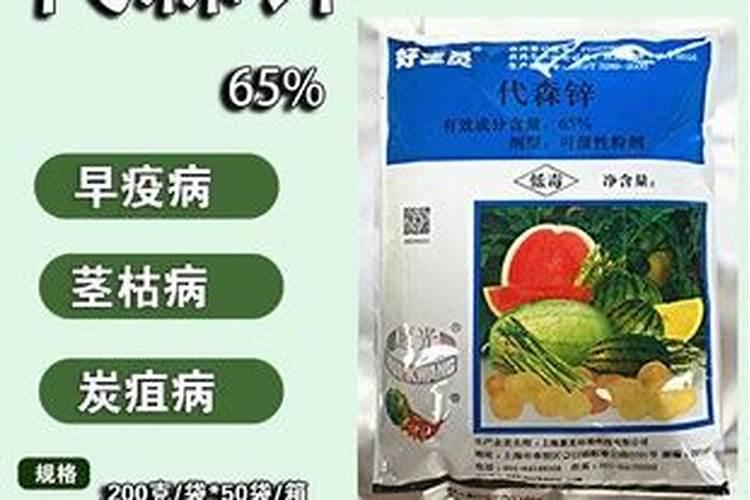 白兰花叶子发黄掉落是什么原因？该怎么办？