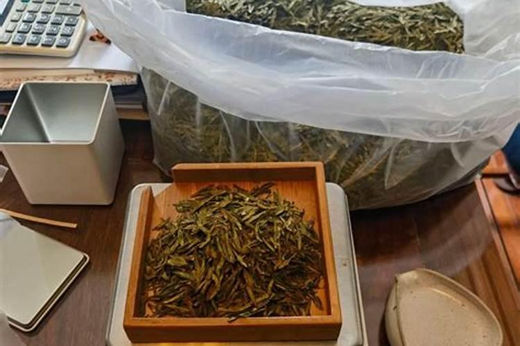 茶叶施磷肥选什么肥 茶叶施磷肥选哪种肥