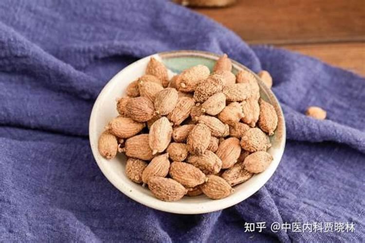 花盆是否可以养王木香