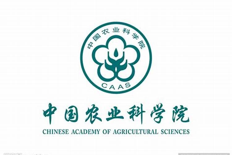 种小麦底肥最佳配方