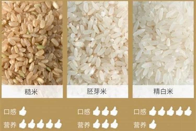 陈大米如何做肥料