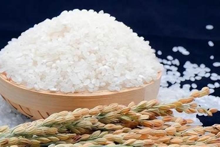 大米里面含有什么成分