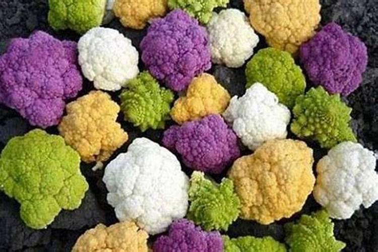 栽种花椰菜的时候,正确的施肥方法有哪些？