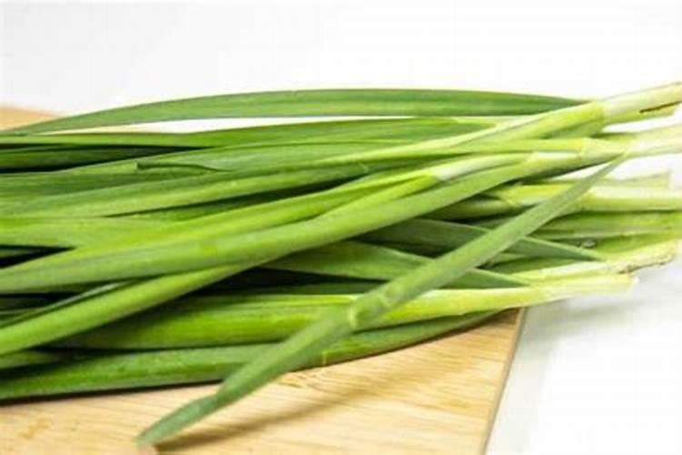 韭菜打什么药变绿,韭菜的保存方法