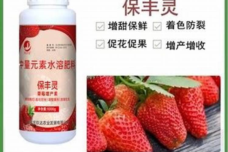 看下文!草莓各个时期水溶肥选择
