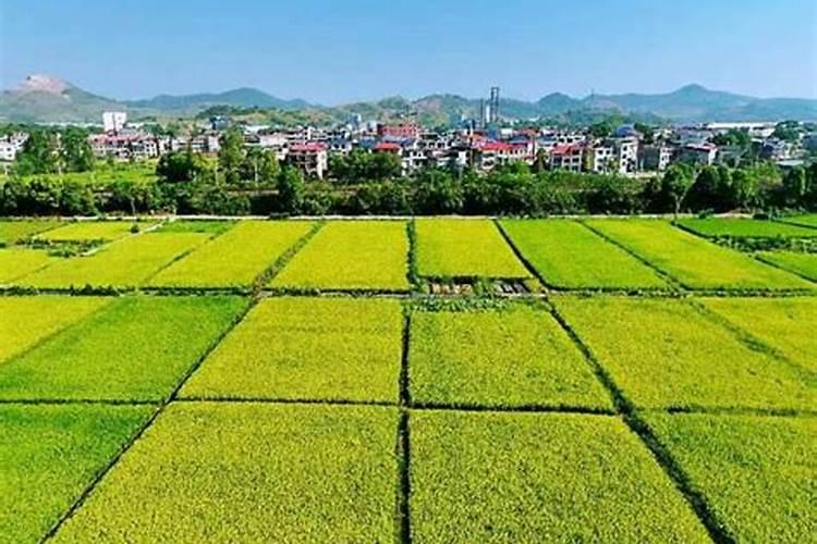 三月份小麦还可以追肥吗