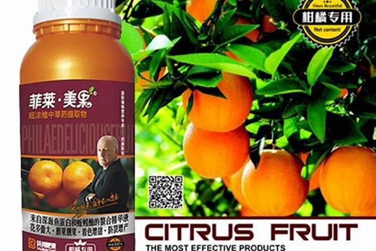 柑橘7月份施什么肥